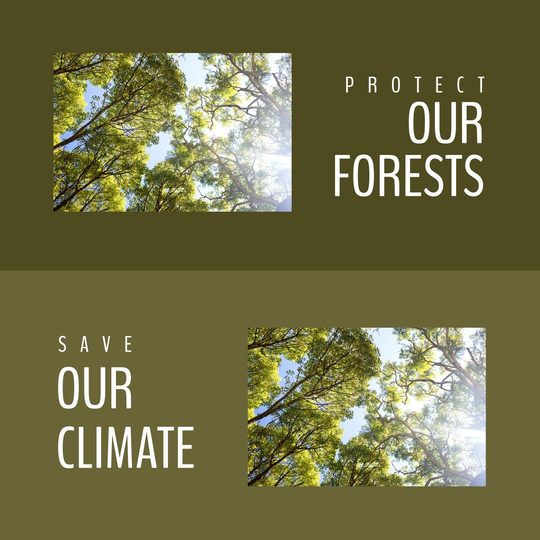 Forest Conservation for Climate Protection Awareness Poster