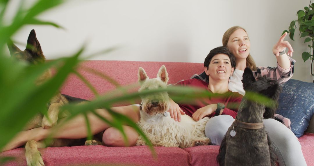 Couple sitting on couch with dogs relaxing at home - Free Images, Stock Photos and Pictures on Pikwizard.com