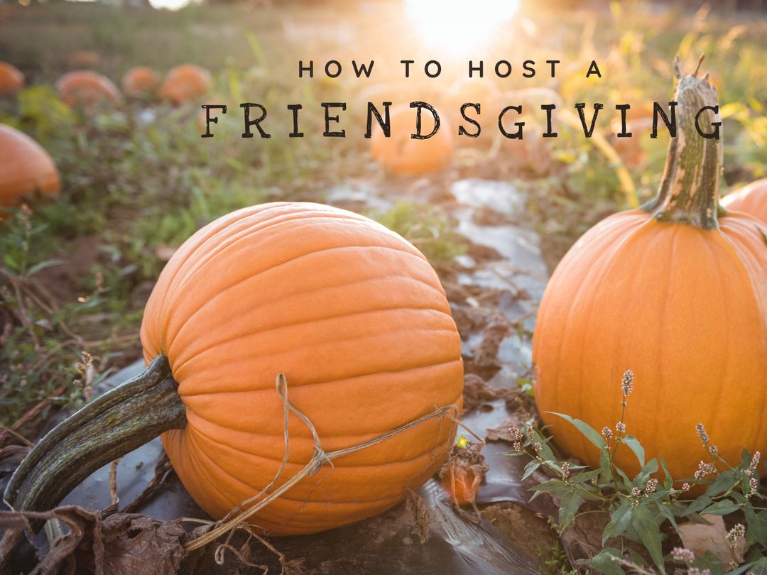 Autumn Harvest Pumpkins Perfect for Friendsgiving