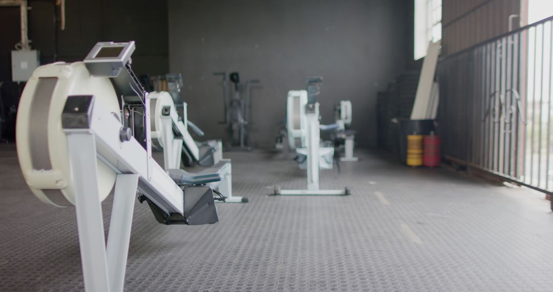 Empty Gym With Rowing Machines - Free Images, Stock Photos and Pictures on Pikwizard.com