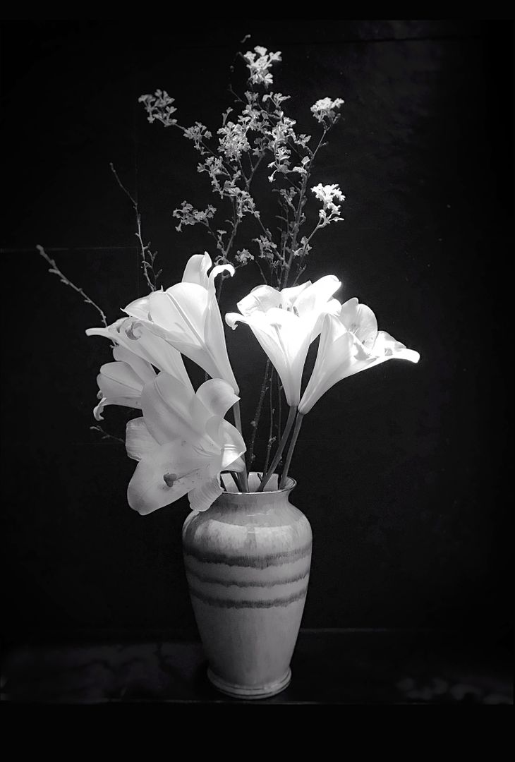 Black and White Floral Arrangement in Ceramic Vase - Free Images, Stock Photos and Pictures on Pikwizard.com