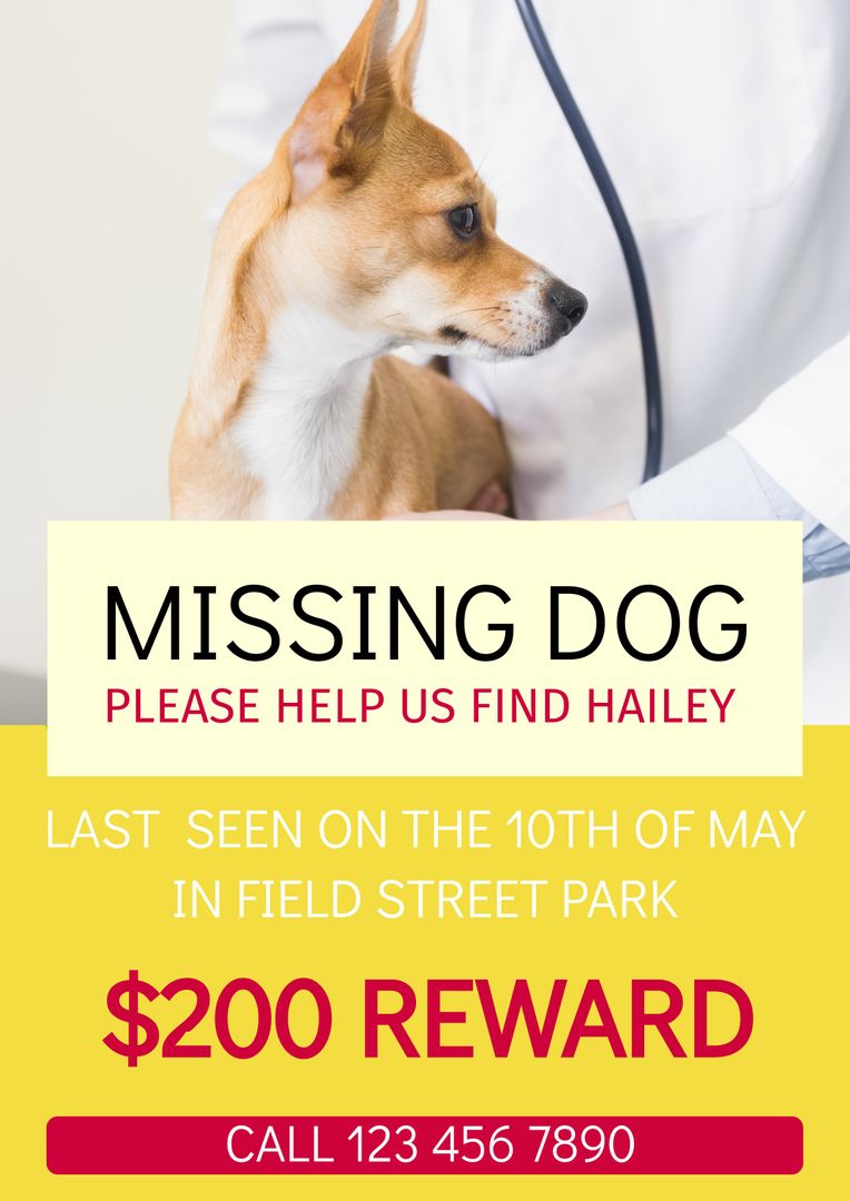 Missing Dog Poster with Reward Information on Yellow Background - Download Free Stock Templates Pikwizard.com