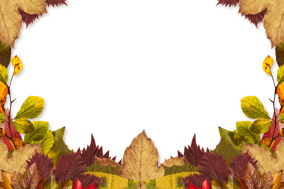 Illustration of Autumn Leaves Frame on Transparent Background