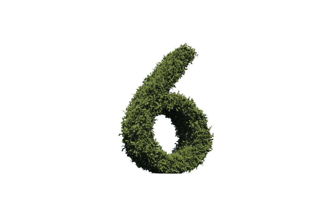 Nature-Themed Grass Number Six on Transparent Background