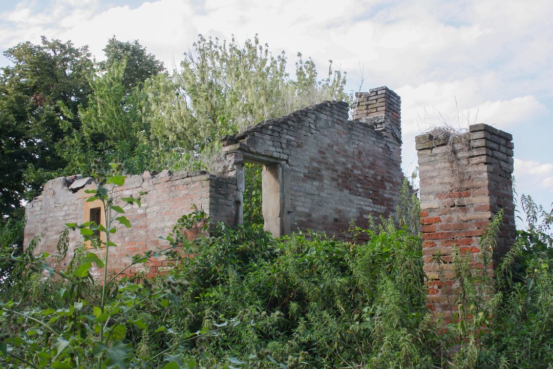 Abandoned Brick Ruins in Overgrown Forest