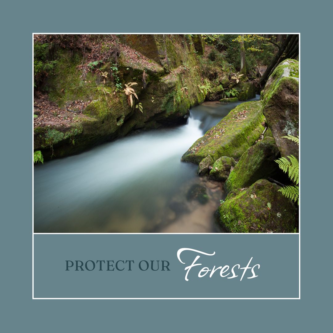Protect Our Forests: Serene River Flowing Through Mossy Rocks