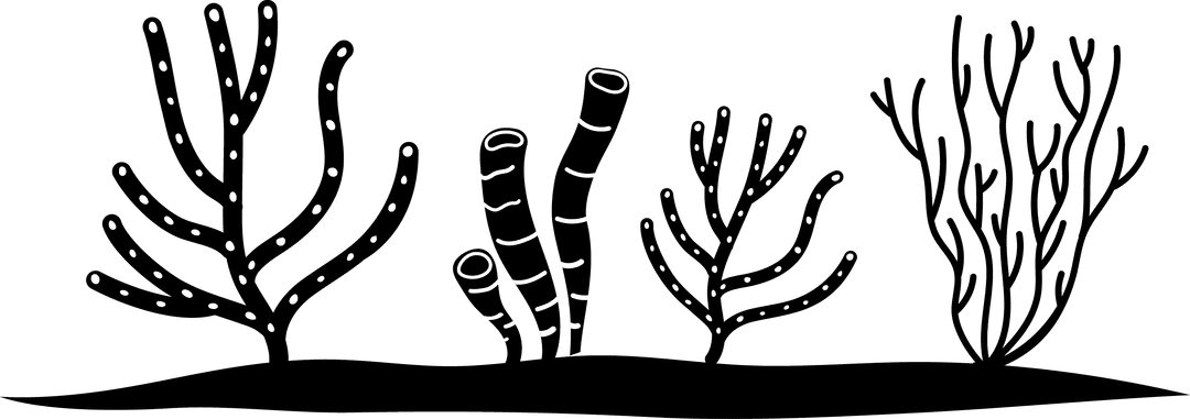 Stylized Coral Silhouettes on Transparent Background Nature Conservation Design