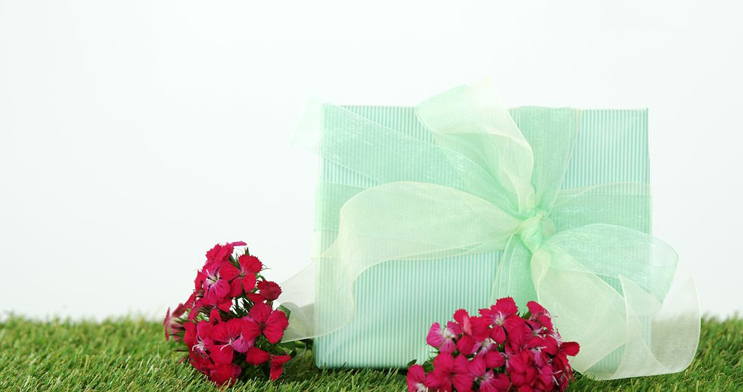 Elegant Gift Box with Red Flowers on Green Grass - Free Images, Stock Photos and Pictures on Pikwizard.com