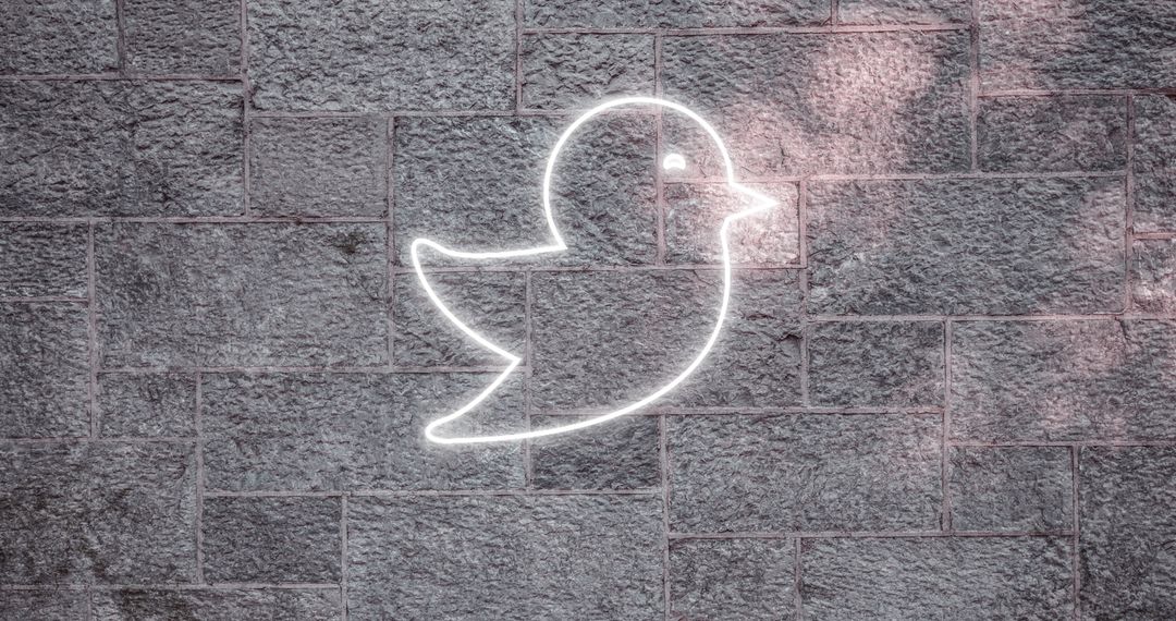 Glowing Neon Bird Icon on Brick Wall for Social Media