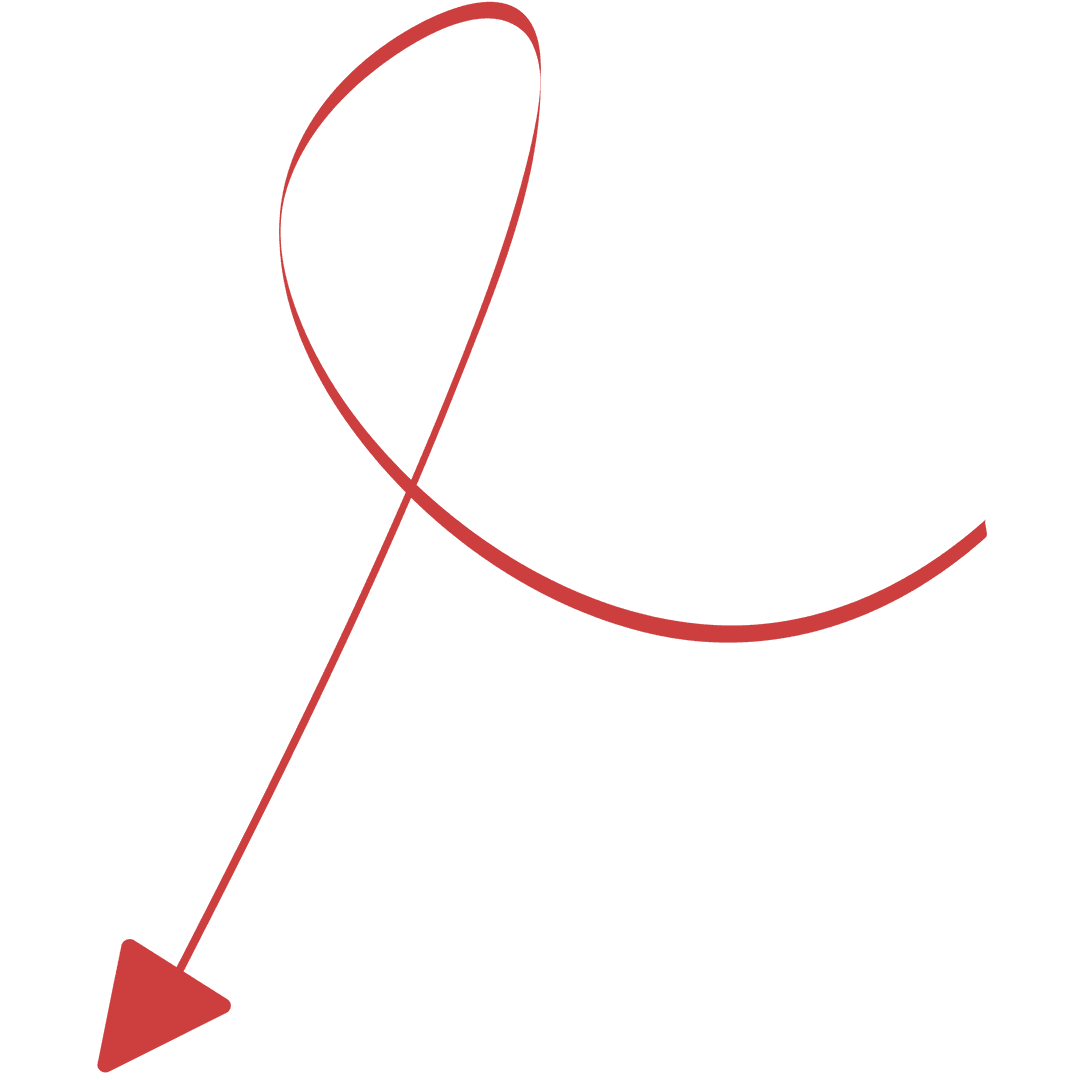 Red Curved Arrow on Transparent Background for Navigation - Download Free Stock Images Pikwizard.com