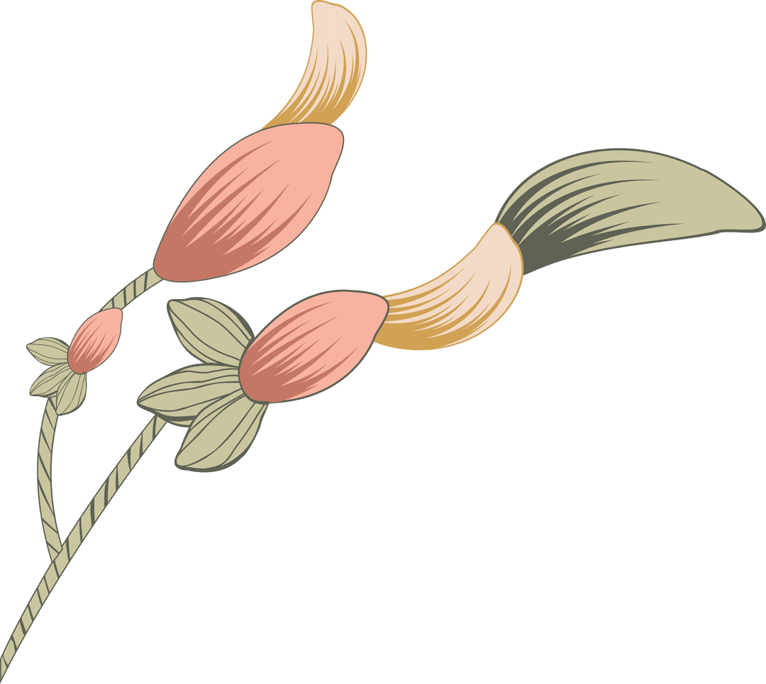 Transparent Minimalist Botanical Design with Gradient Buds