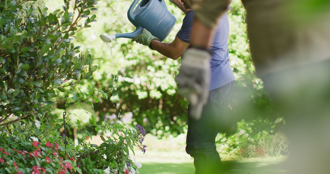 Image of focused biracial senior man watering plants in garden - Free Images, Stock Photos and Pictures on Pikwizard.com