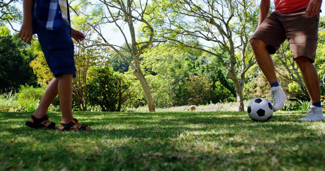 Family Soccer Playtime in Sunny Park Scene - Free Images, Stock Photos and Pictures on Pikwizard.com