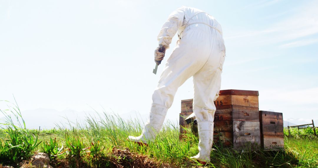 Beekeeper Tending to Beehives in Sunny Field - Free Images, Stock Photos and Pictures on Pikwizard.com