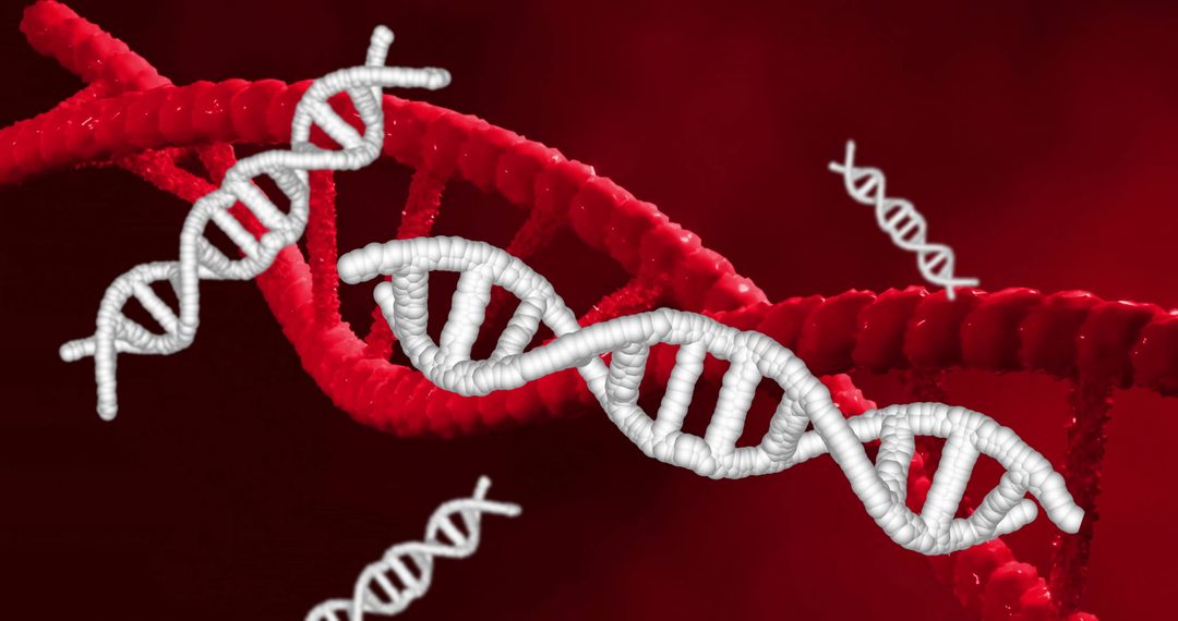 DNA Strands Floating Over Digital Red Background