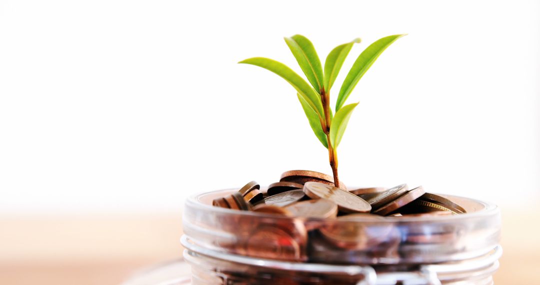 Small Plant Growing from Savings Jar Filled with Coins - Free Images, Stock Photos and Pictures on Pikwizard.com