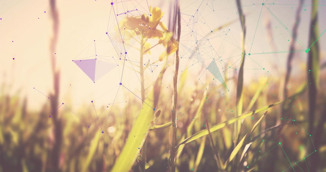 Golden Hour Wildflower in Digital Dreamscape