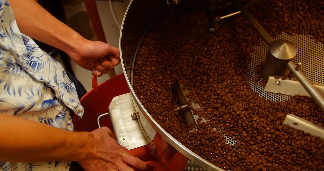 Hands Operating Coffee Roasting Machine with Freshly Roasted Beans - Free Images, Stock Photos and Pictures on Pikwizard.com