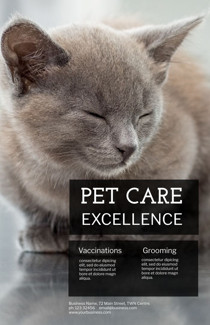 Serene Cat Promoting Pet Care Services with Vaccination and Grooming Details - Download Free Stock Templates Pikwizard.com