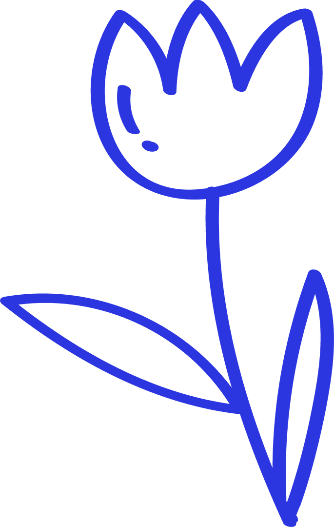 Blue Line Art Flower on Transparent Background for Botanical Design