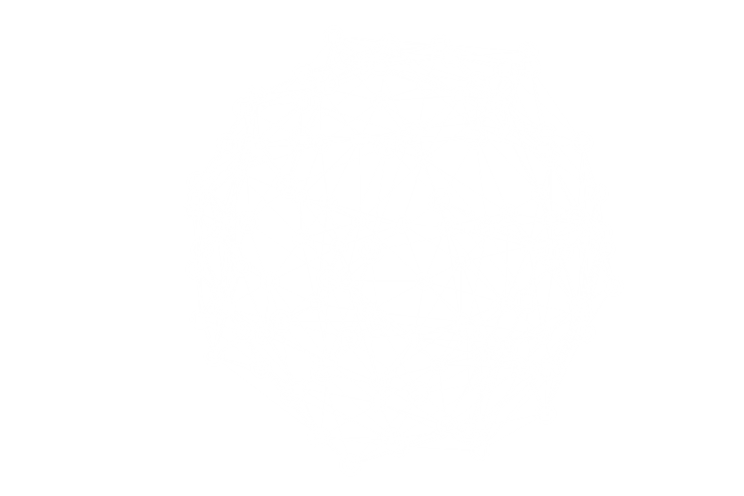 Transparent Dotted Network Web Structure Illustration