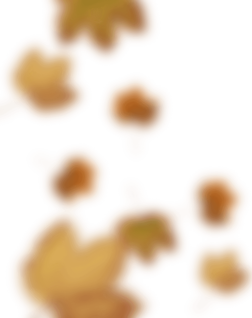 Transparent Blurry Maple Leaves in Warm Autumn Colors