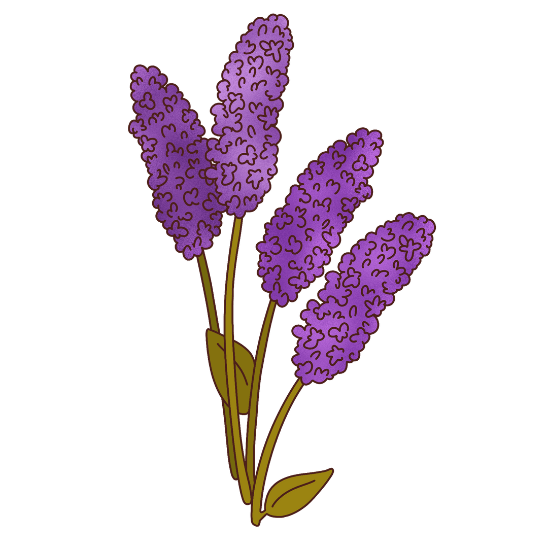 Elegant Purple Floral Spikes on Transparent Background