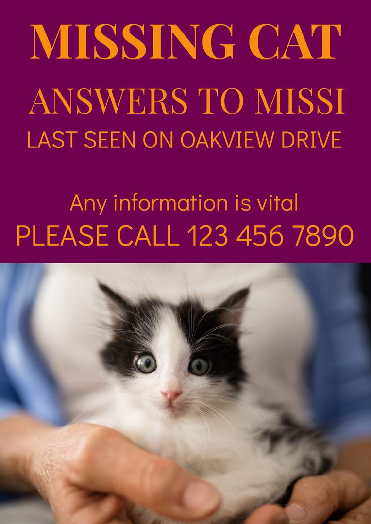 Missing Cat Poster on Purple Background with Owner Holding Kitten - Download Free Stock Templates Pikwizard.com