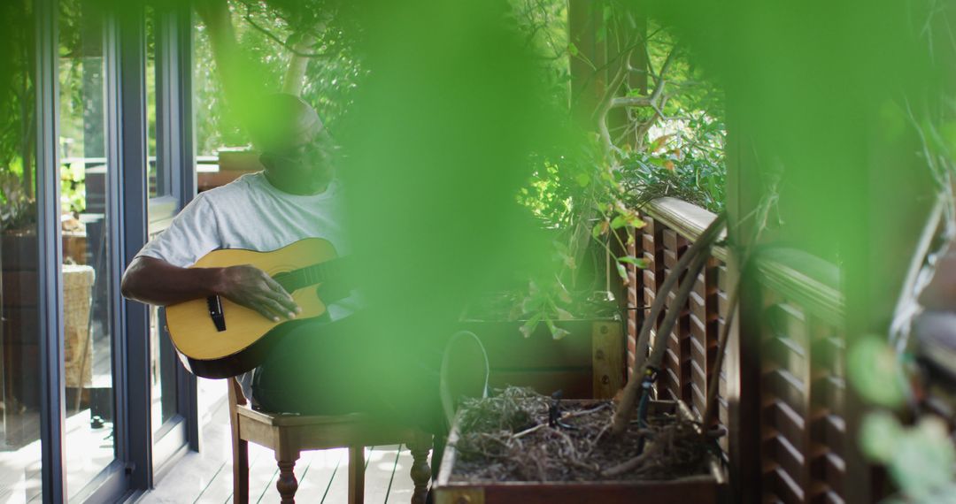 Man Playing Guitar in Lush Green Indoor Garden with Natural Light - Free Images, Stock Photos and Pictures on Pikwizard.com