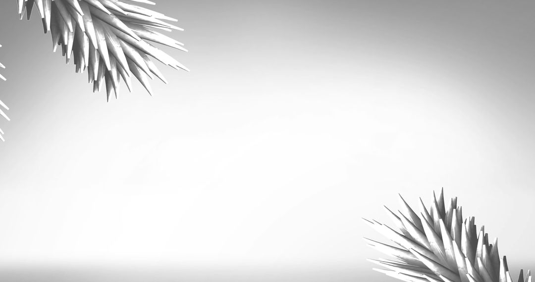 Minimalist White Christmas Tree Branches Background