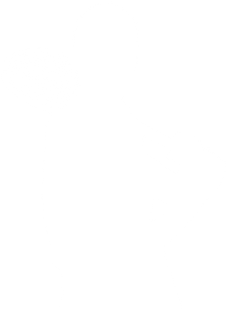 Transparent Silhouette of Male Tennis Player Ready to Swing - Download Free Stock Images Pikwizard.com