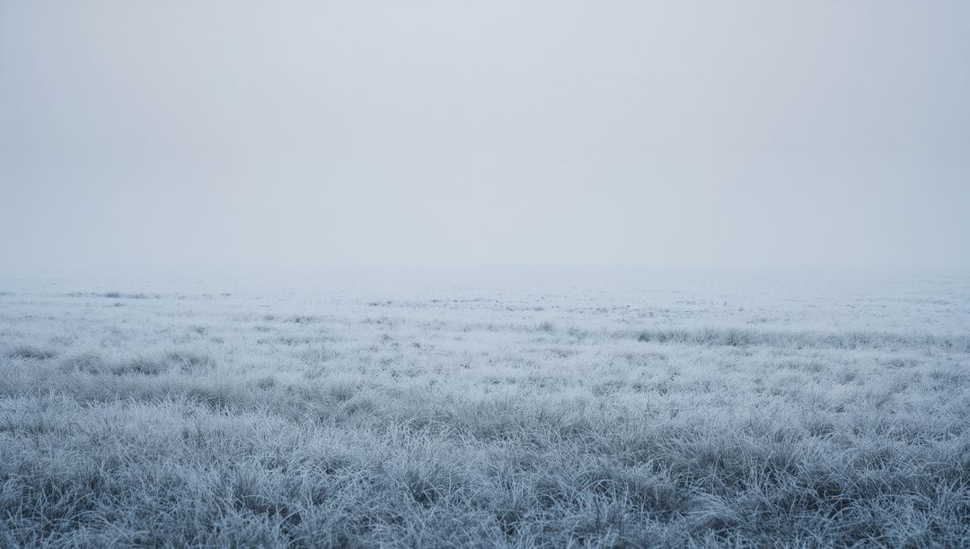 Frost-Covered Grassland Glimmering in Dense Fog Minimalist Bluish Winter Landscape