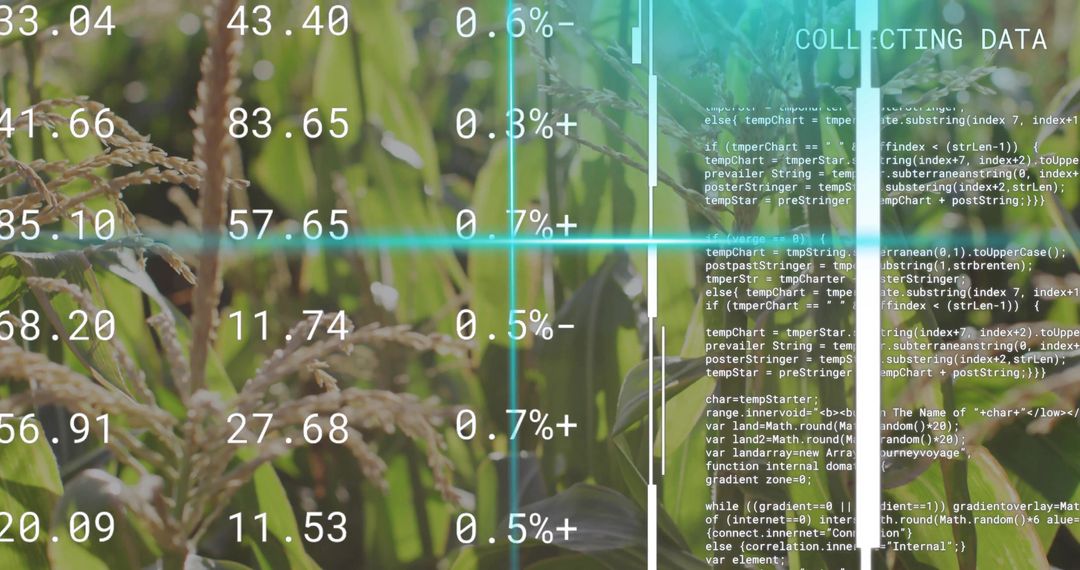 Futuristic Agriculture Data Visualization on Rice Field