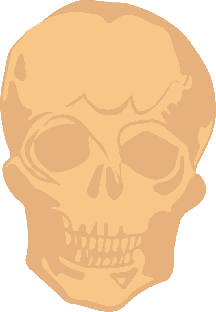 Transparent Skull Illustration with Hollow Eyes and Contours