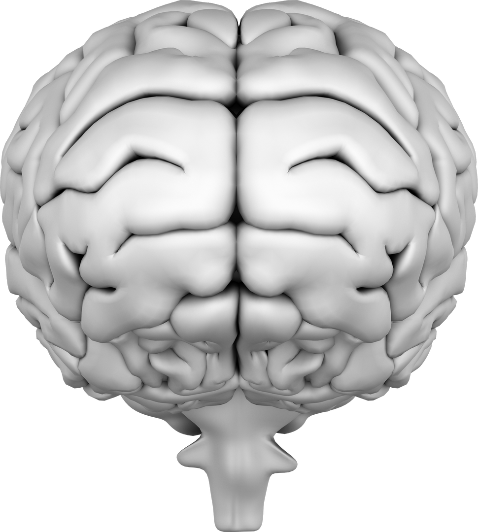 Transparent 3D Human Brain Top View Demonstrating Mental Health Concept - Download Free Stock Images Pikwizard.com