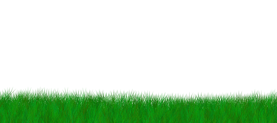 Green Grass on Transparent Background for Nature and Summer Designs