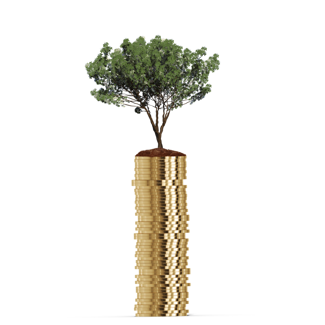 Tree Growing from Stack of Golden Coins on Transparent Background - Download Free Stock Images Pikwizard.com