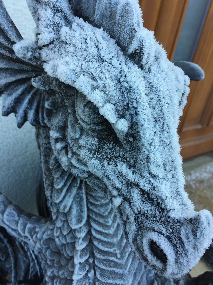 Close-up of Frost-Covered Dragon Sculpture Outdoors in Winter - Free Images, Stock Photos and Pictures on Pikwizard.com