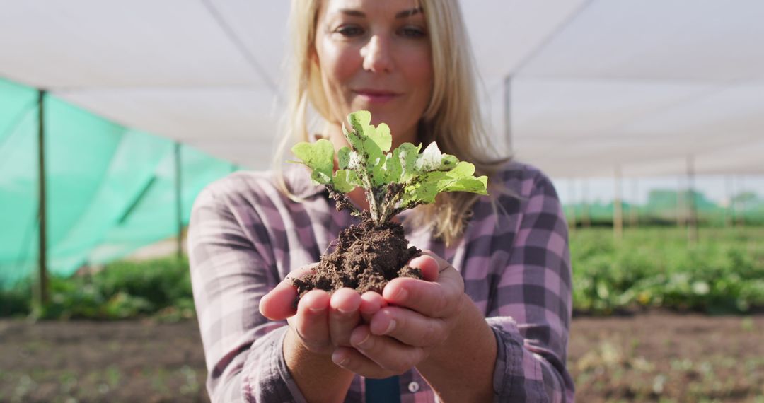 Female Farmer Holding Seedling in Greenhouse - Free Images, Stock Photos and Pictures on Pikwizard.com