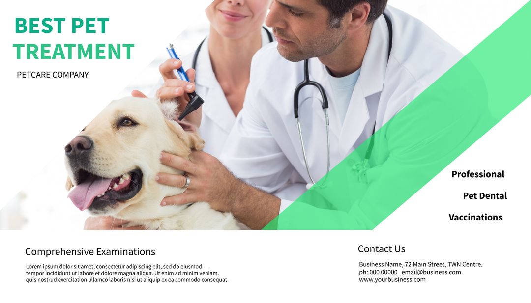 Veterinarian Examining Golden Retriever Promoting Pet Health Services - Download Free Stock Templates Pikwizard.com