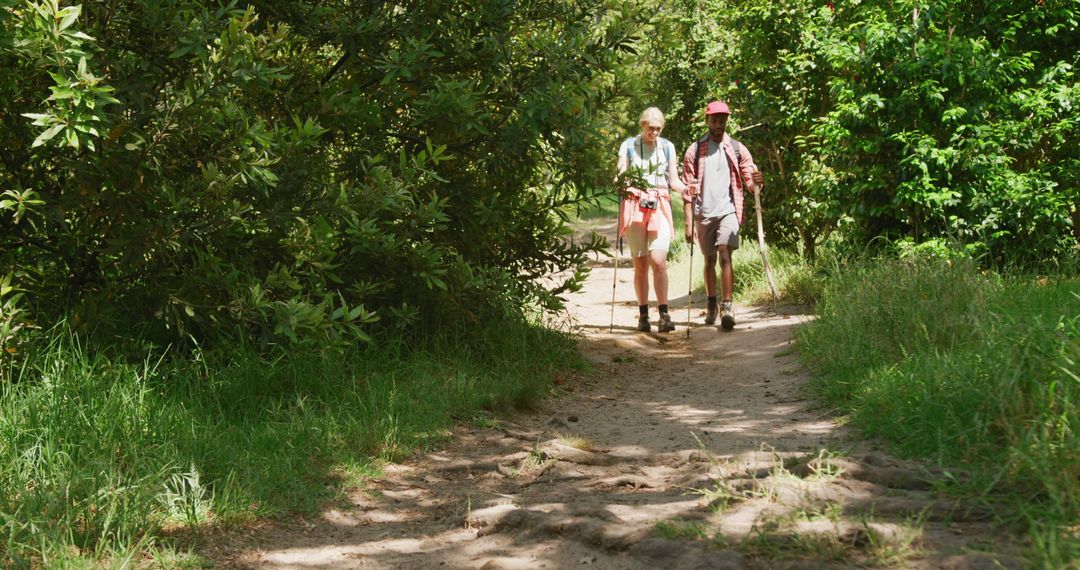 Senior Couple Hiking Through Forest Path in Summer - Free Images, Stock Photos and Pictures on Pikwizard.com