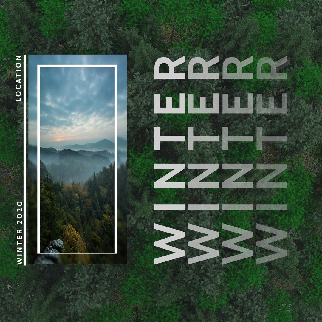 Scenic Winter Forest Overlooking Misty Horizon