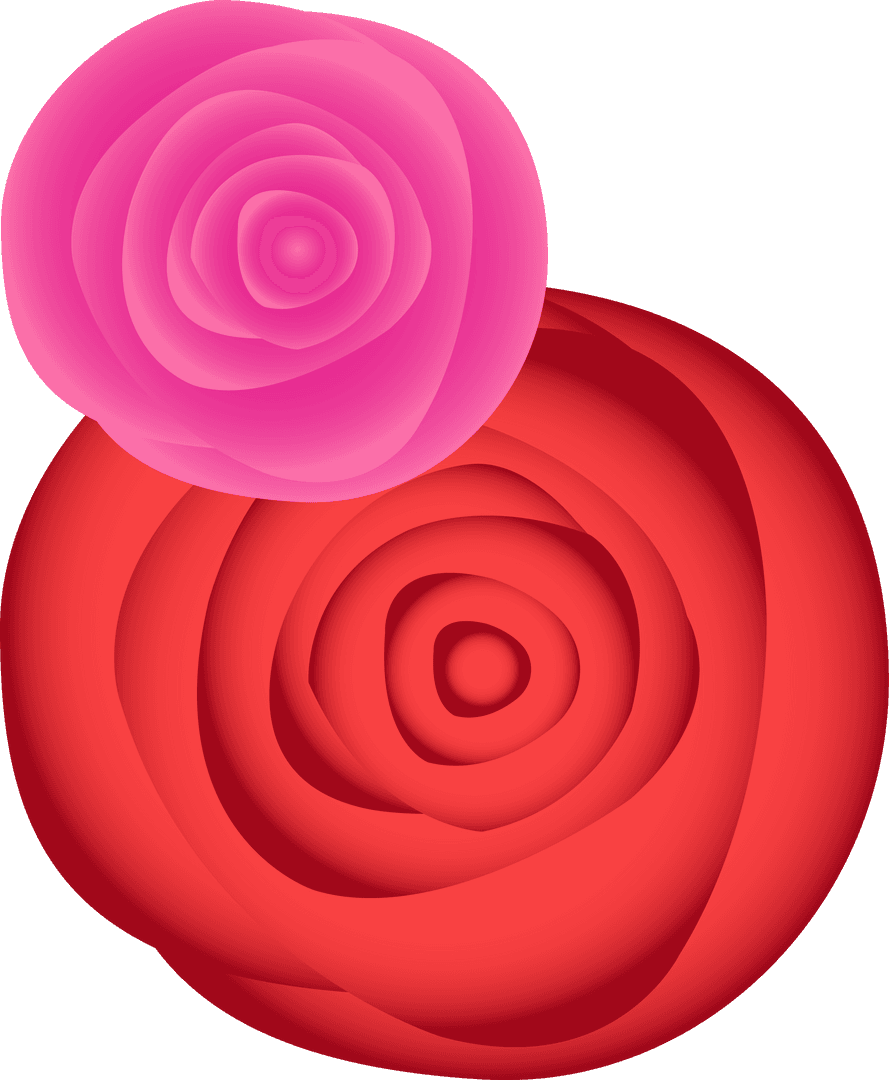 Vibrant Layered Roses on Transparent Backdrop