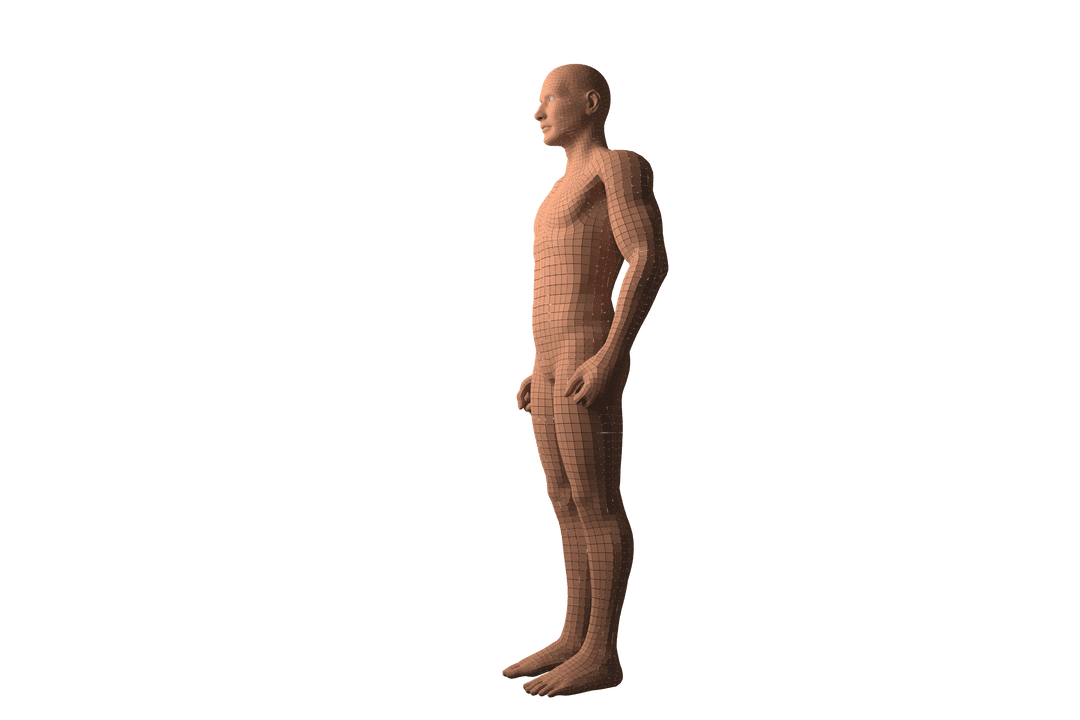 Transparent 3D Male Model Illustration on Isolated Background