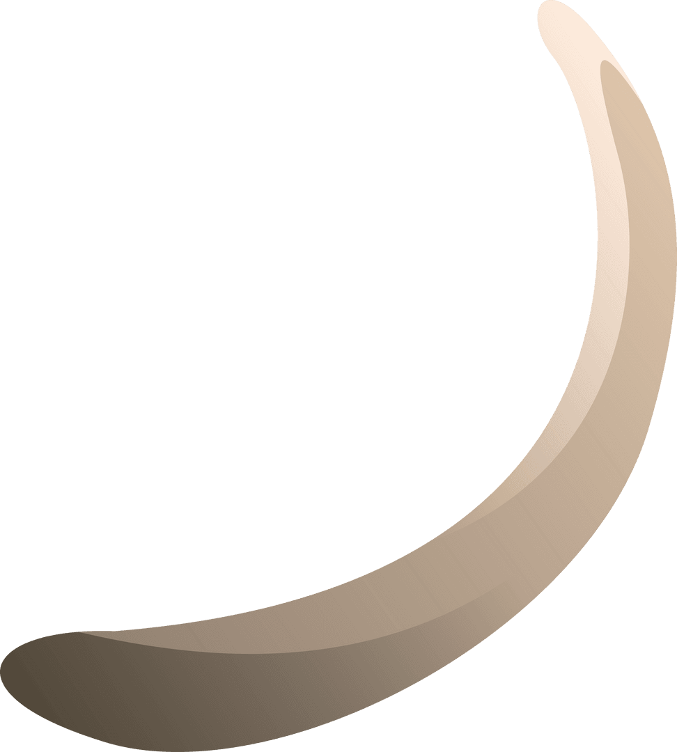 Fluid Boomerang Shape on Transparent Canvas with Gradient