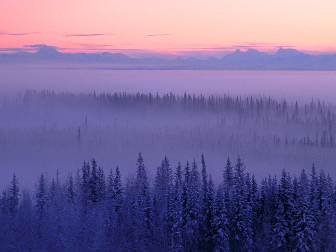 Peaceful Winter Sunrise over Foggy Forest and Mountain Range - Free Images, Stock Photos and Pictures on Pikwizard.com