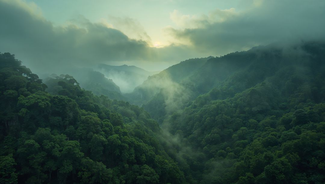 Misty Dawn Over Lush Mountain Valley with Dense Greenery