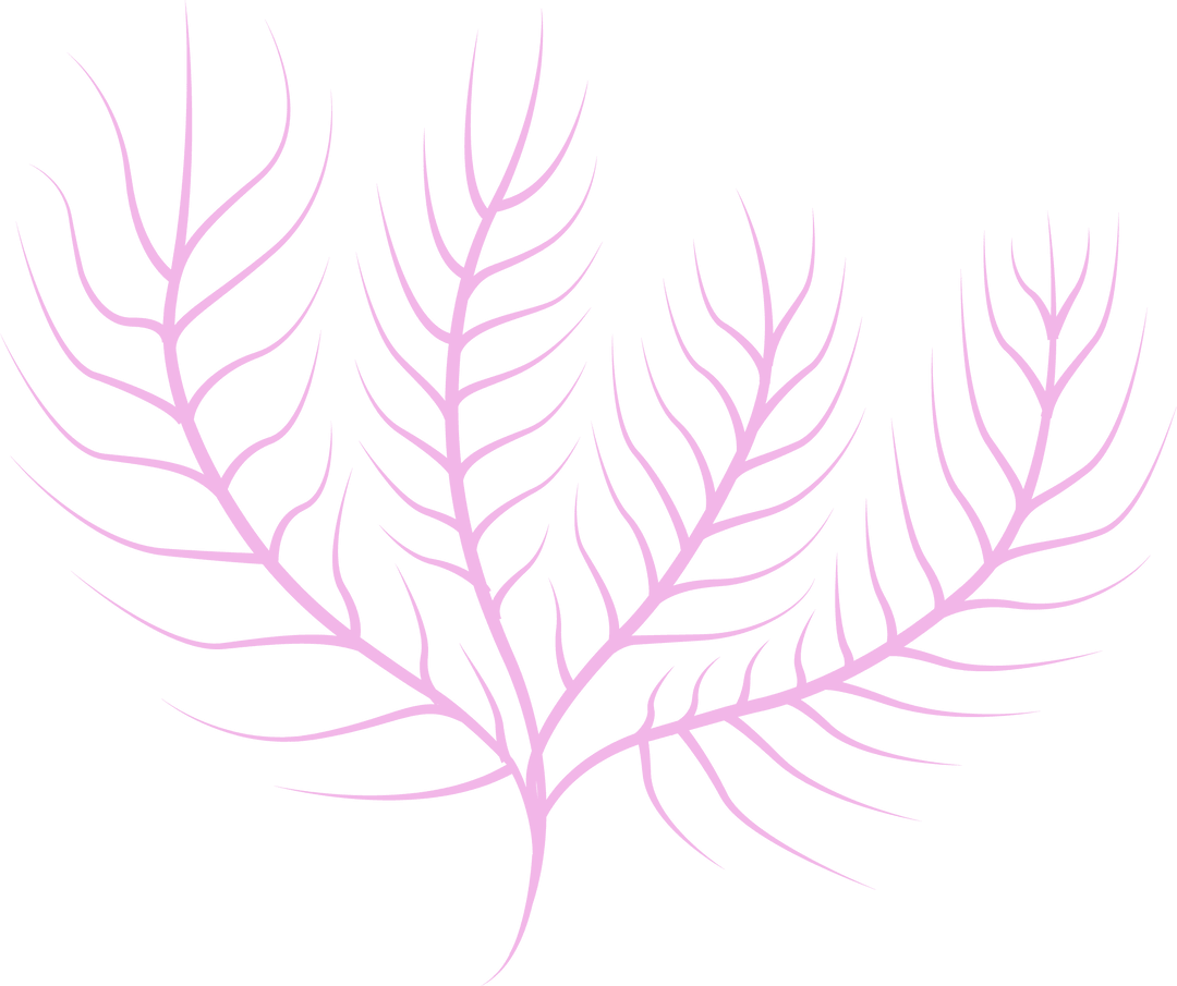 Delicate Pastel Pink Branching Shape on Transparent Background