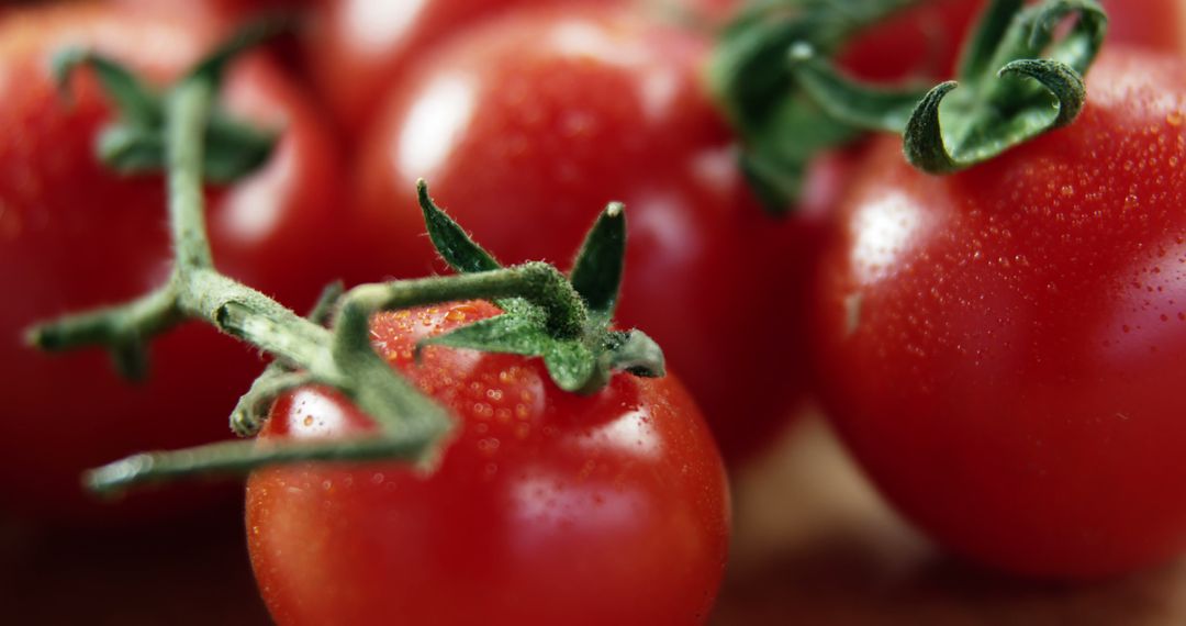 Close-Up of Fresh Red Tomatoes on Stems - Free Images, Stock Photos and Pictures on Pikwizard.com