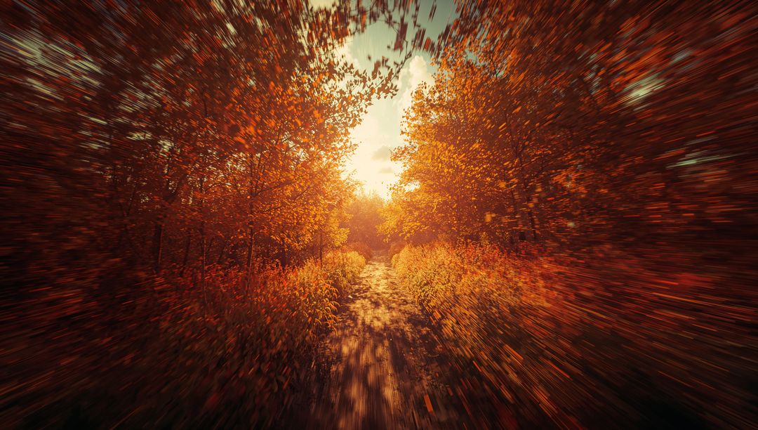 Blurred Autumn Forest Path with Vivid Sunlight